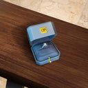 Elegante Leder-Ringbox in Grau OnePromise